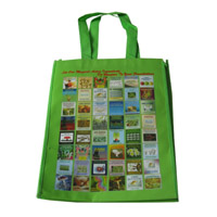 江津LB11覆膜无纺布广告袋